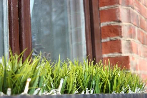 The first vegetation after winter, window decoration. grass in a vase against Stock Photos