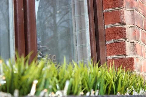The first vegetation after winter, window decoration. grass in a vase against Stock Photos