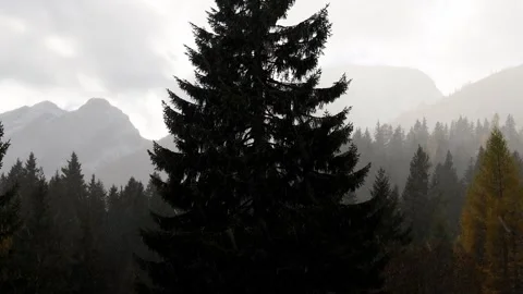 The first winter snow in the alps 4k 25fps video Stock-Footage 320197656