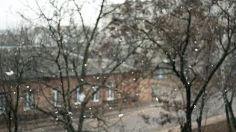 First winter snow falling with big snowflakes white flakes  Stock Footage 260473665