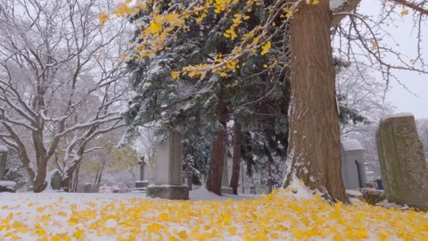 First Winter Snowfall In Cemetery Time Lapse Stock Footage 221649452