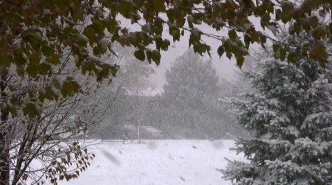 First Winter Storm in Park 動画素材 555675