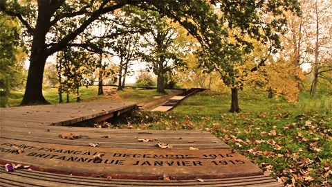 First World War battles : Hill 60 walking path Stock Footage 89889888