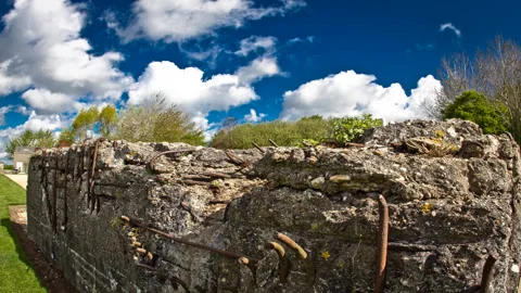 First World War remains: bunker timelapse Stock Footage 89802039