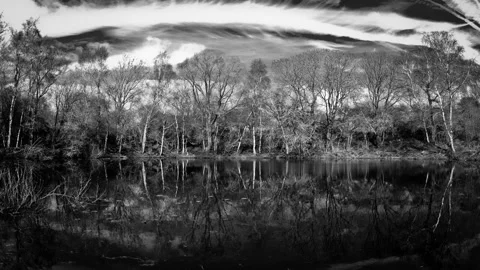 First World War remains:  mine crater timelapse Stock Footage 89803392
