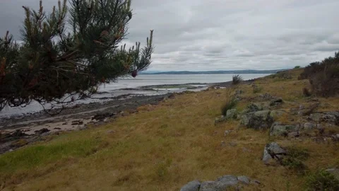 The Firth of the Forth and Cramond Island Video stock 200221139