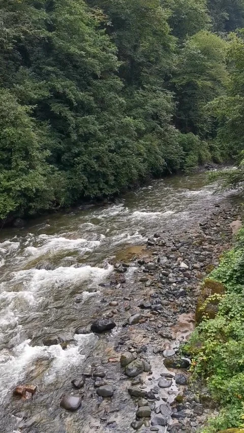 Firtina River ayder  Stock Footage 147588778