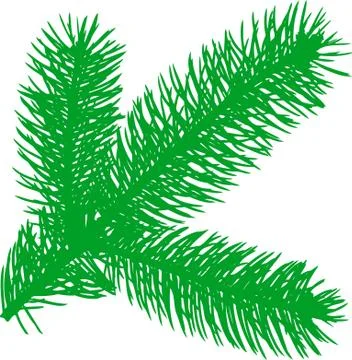 Firtree green element 스톡 일러스트