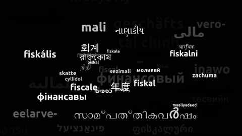 Fiscal Translated in 52 Worldwide Languages Endless Looping 3d Zooming Wordcl Stock Footage 145207974