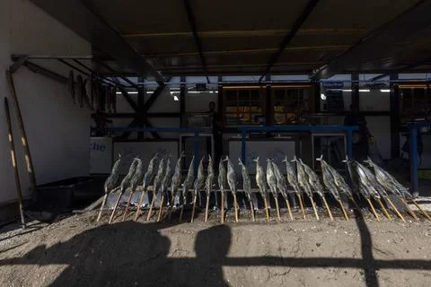 Fischer Vroni Steckerlfische Makrelen Stockfisch garen über der heißen Ho. Stock Photos