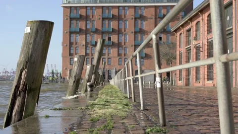 Fischmarkt Hamburg 스톡 동영상 130578858