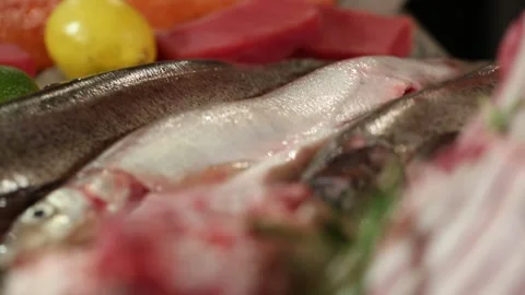 Fish and beef 3 Stock Footage 312942611