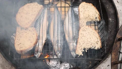 Fish and bread grilling on bonfire at campsite, Stock Footage 214896741