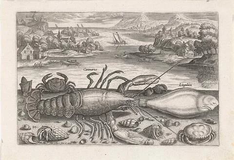 A fish and a few shellfish on the beach; Fishing; PISCIVM VIVAE ICONES. A ... Stock Photos