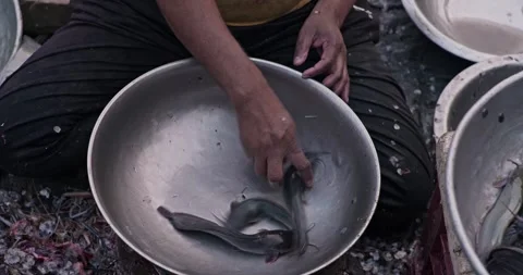 Fish And Fish Market Stock Footage 321832007