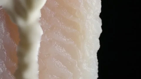 Fish and Milk Stock Footage 232366621