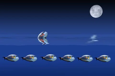 The fish and the moon Stock Illustration