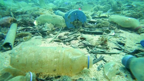 A Fish and Ocean Pollution Stock Footage 143421511