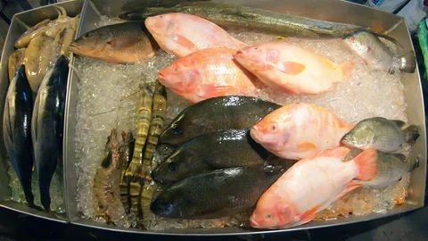 Fish and prawns on ice. Lying on the counter of a street market. 스톡 동영상 119787734