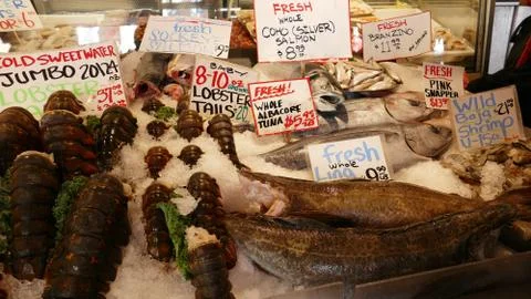 Fish and Sea Food With Market Prices - Close-Up Stock Photos