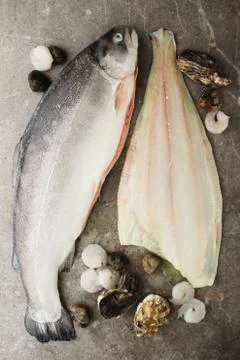 Fish and shellfish Stock Photos