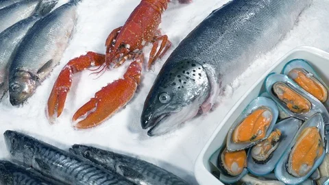 Fish And Shellfish Spread On Ice Video stock 119925002