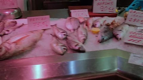 Fish and shellfish stall at Mercat Central Food Market, Valencia, Spain Stock Footage 298313012