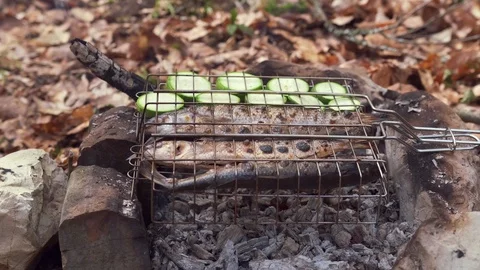 Fish and vegetables are fried on an open fire on a grill In the forest 스톡 동영상 127367293
