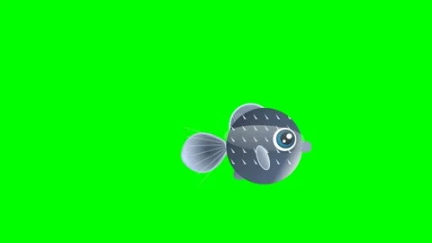 Fish Animated - Chroma Key Green Screen Footage Video stock 336960436