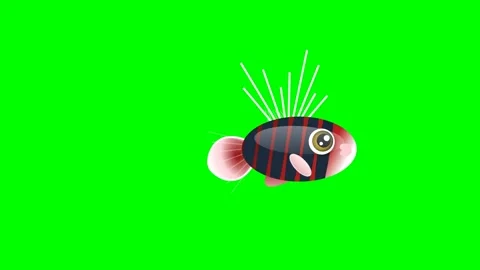 Fish Animated on Green Screen Chroma Key Background Video stock 336959195