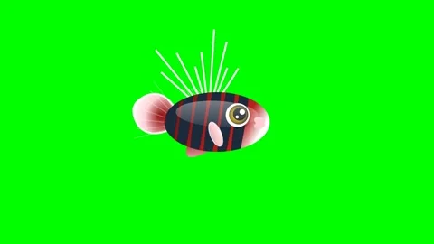 Fish Animated with Striped - Chroma Key Green Screen Footage Video stock 336959166