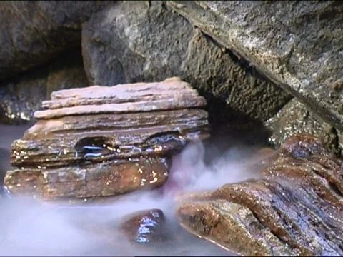  fish in aquarium Stock Footage 661637