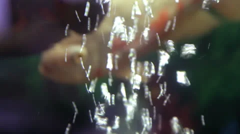 Fish in aquarium Stock Footage 23015608