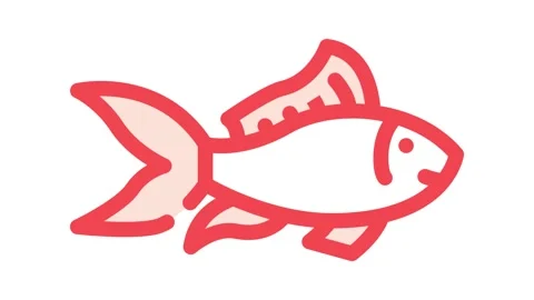 Fish aquatic color icon animation Stock Footage 227558587