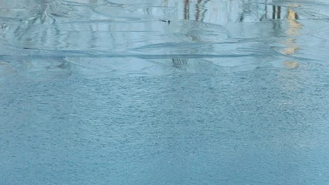 Fish are not caught, the ice prevented fishing Stock Footage 81992159