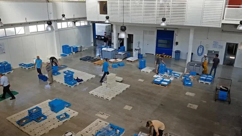 Fish auction Blanes, Spain. Containers on conveyor Video stock 98237480