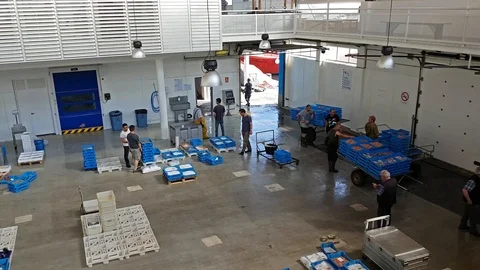 Fish auction Blanes, Spain. Containers on conveyor Video stock 98237772