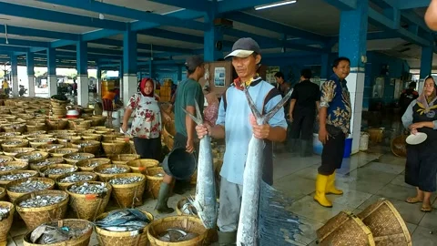 Fish auction Stock Footage 232877554
