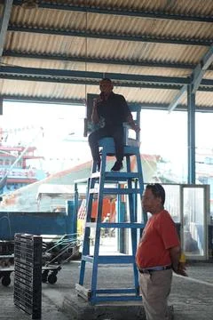 Fish auction Foto stock