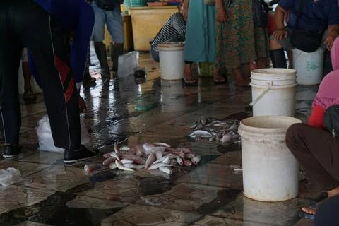 Fish auction place Stock-Fotos