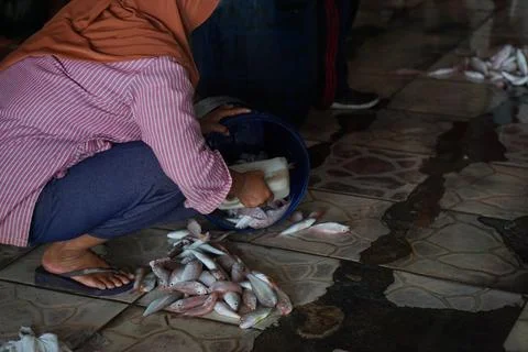 Fish auction place Fotos de archivo