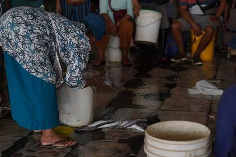 Fish auction place Foto stock