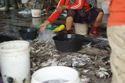 Fish auction place Stock Photos