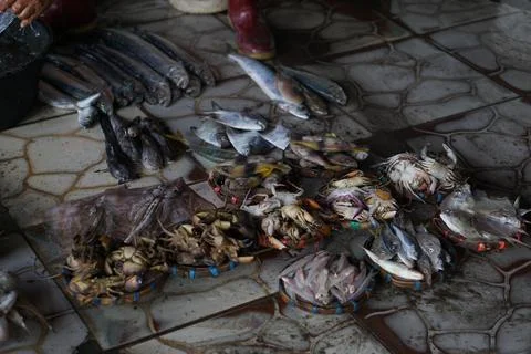 Fish auction place Stock-Fotos