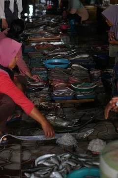 Fish auction place Stock Photos