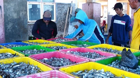 Fish auction in Situbondo, East Java, Indonesia. October 30, 2022 Vídeos de archivo 220240141