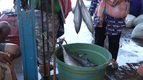 Fish auction in Situbondo, East Java, Indonesia. October 30, 2022 Vídeos de archivo 220243330