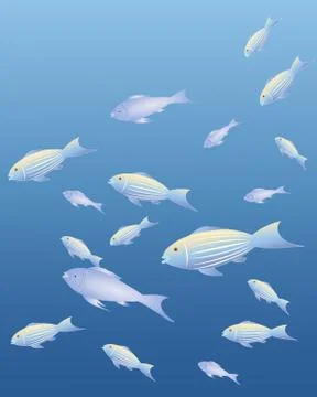 Fish background Stock Illustration