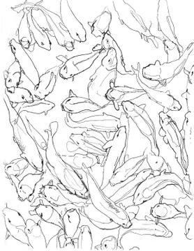 Fish background Stock Illustration