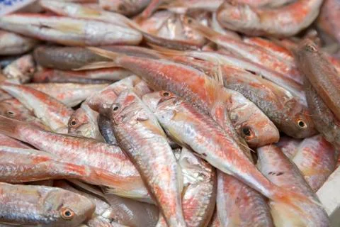 Fish Background on Market Stock Photos
